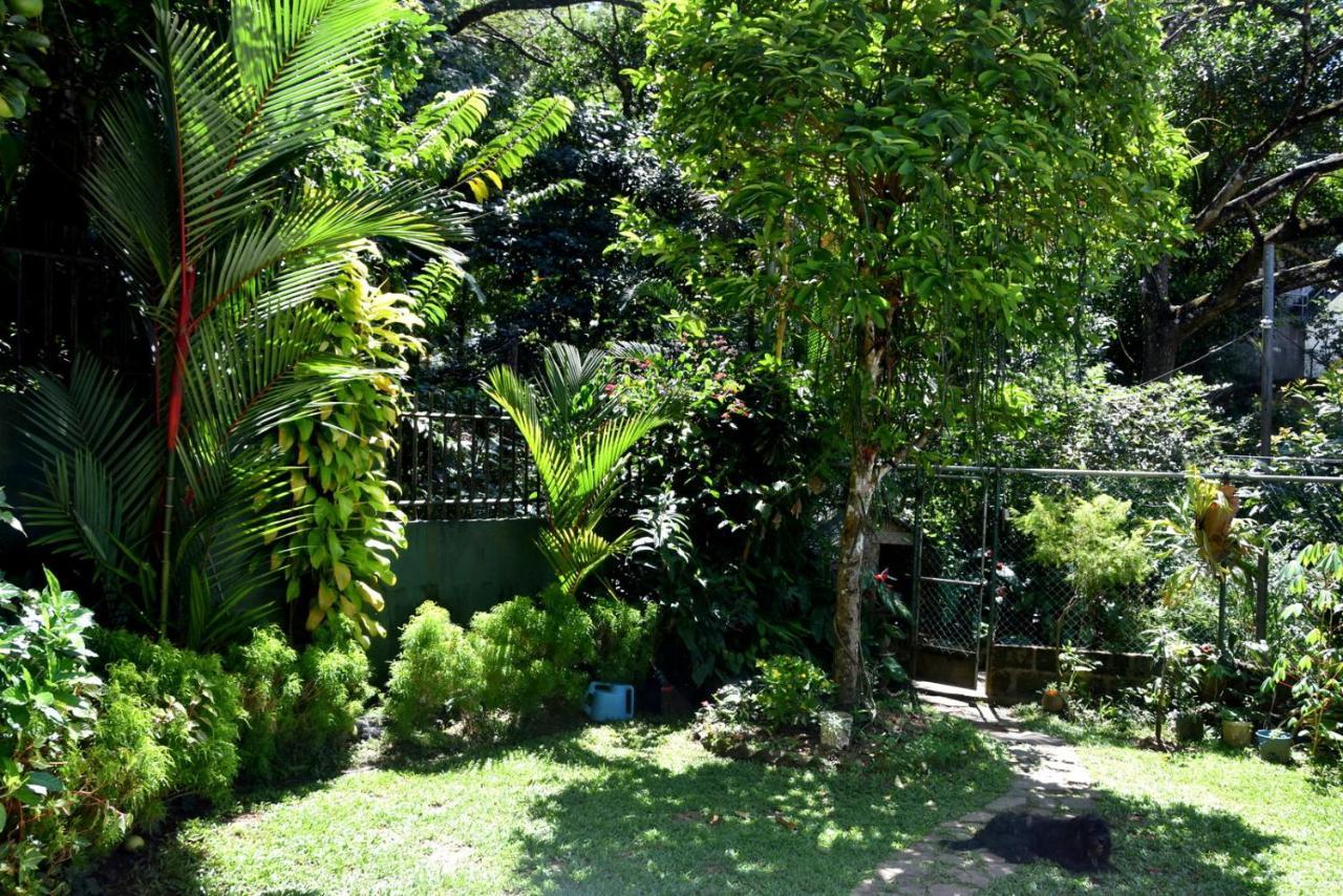 Cozy Homestay Kandy Exterior foto