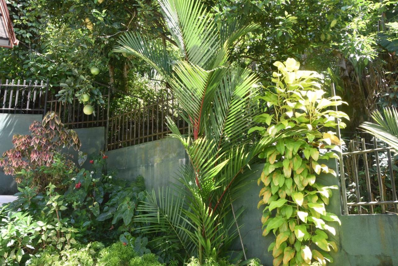 Cozy Homestay Kandy Exterior foto