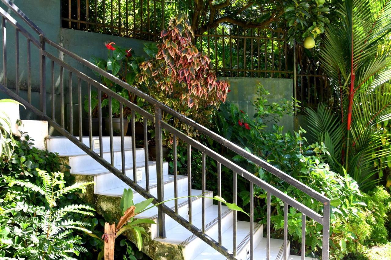 Cozy Homestay Kandy Exterior foto