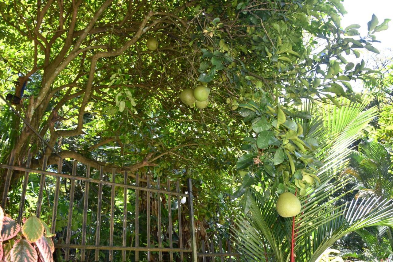 Cozy Homestay Kandy Exterior foto